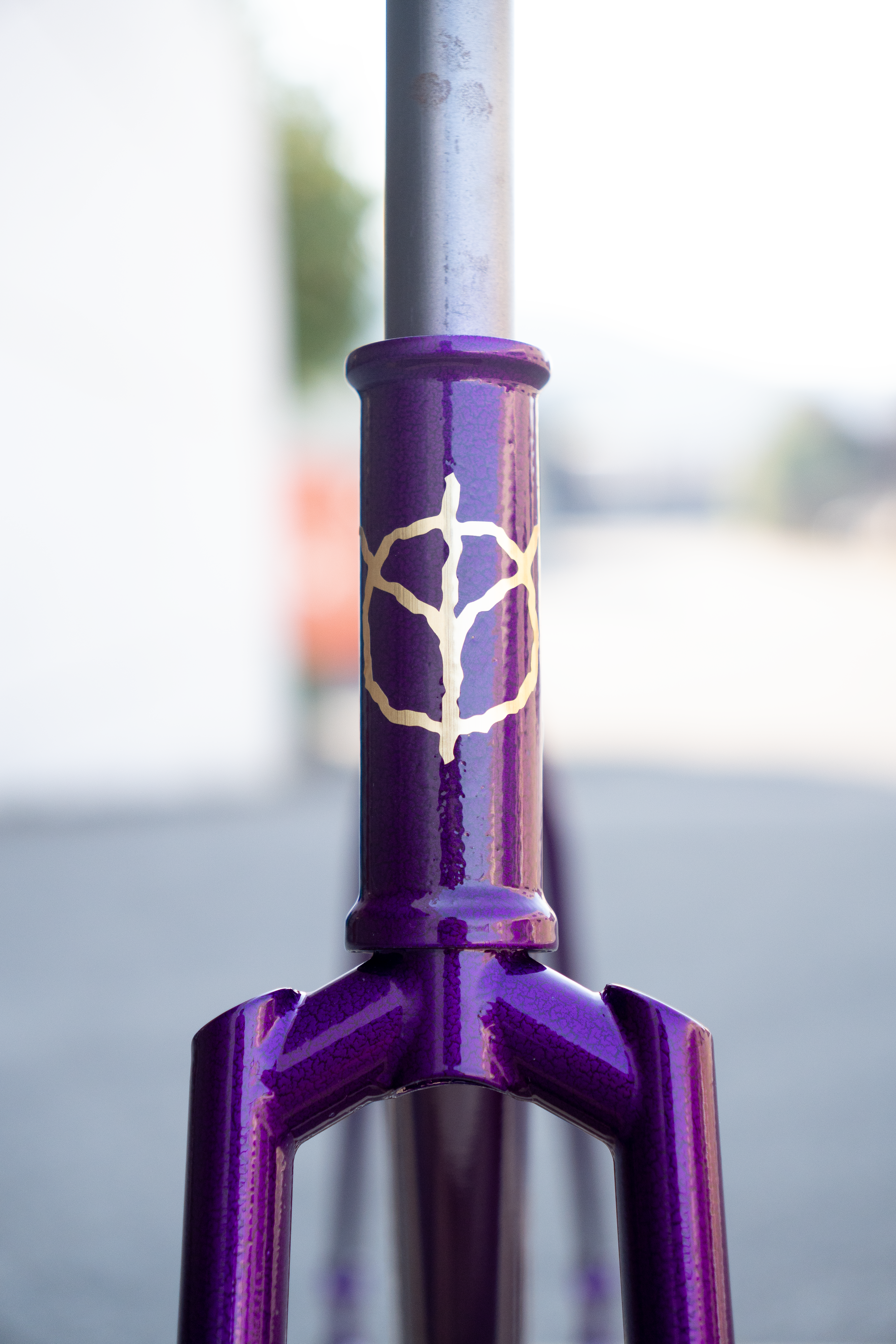 Destroy Omen 2024 Frame – FIXED GEAR ARCHIVE